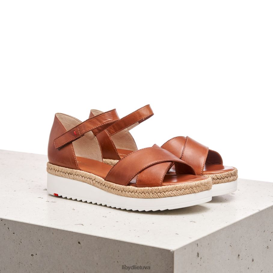 LLOYD pleištiniai sandalai moterys avalynė rudas VF40PZ1237