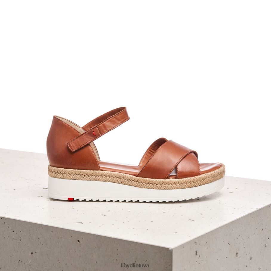 LLOYD pleištiniai sandalai moterys avalynė rudas VF40PZ1237