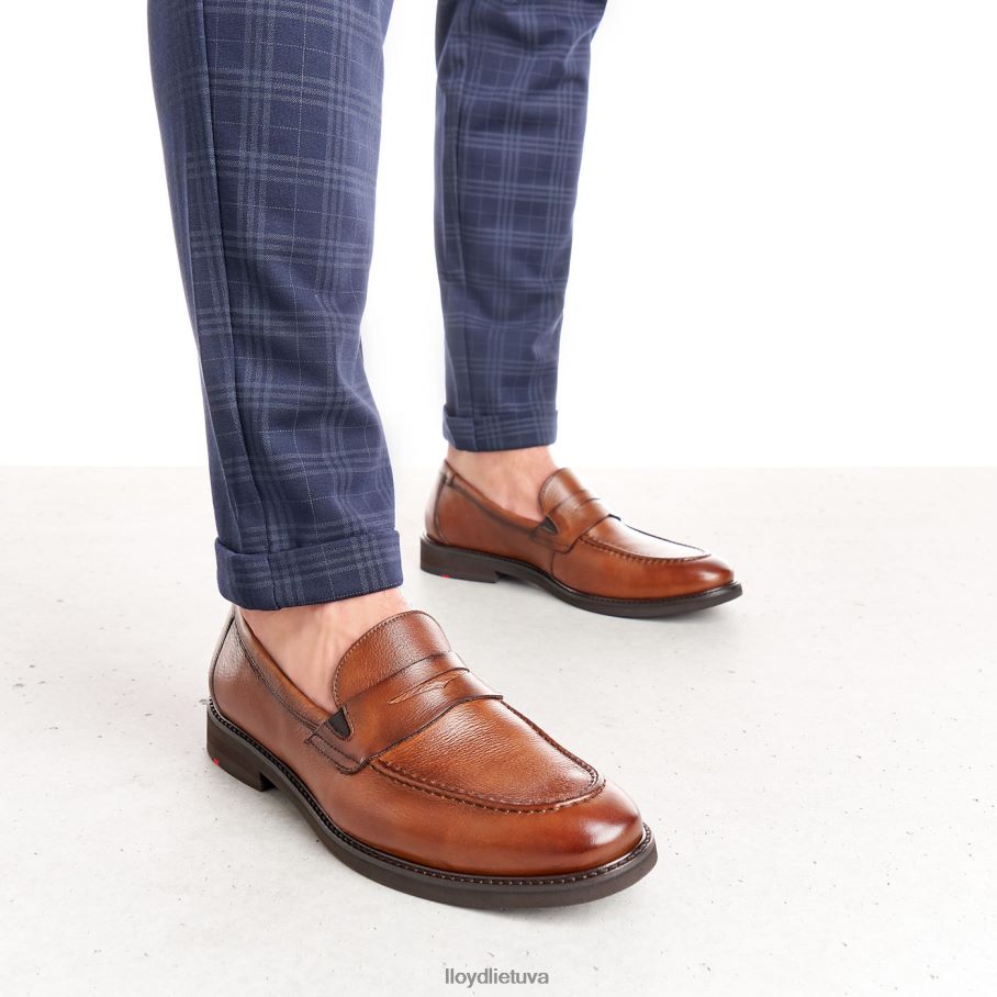 LLOYD reg vyrų avalynė rudas VF40PZ169