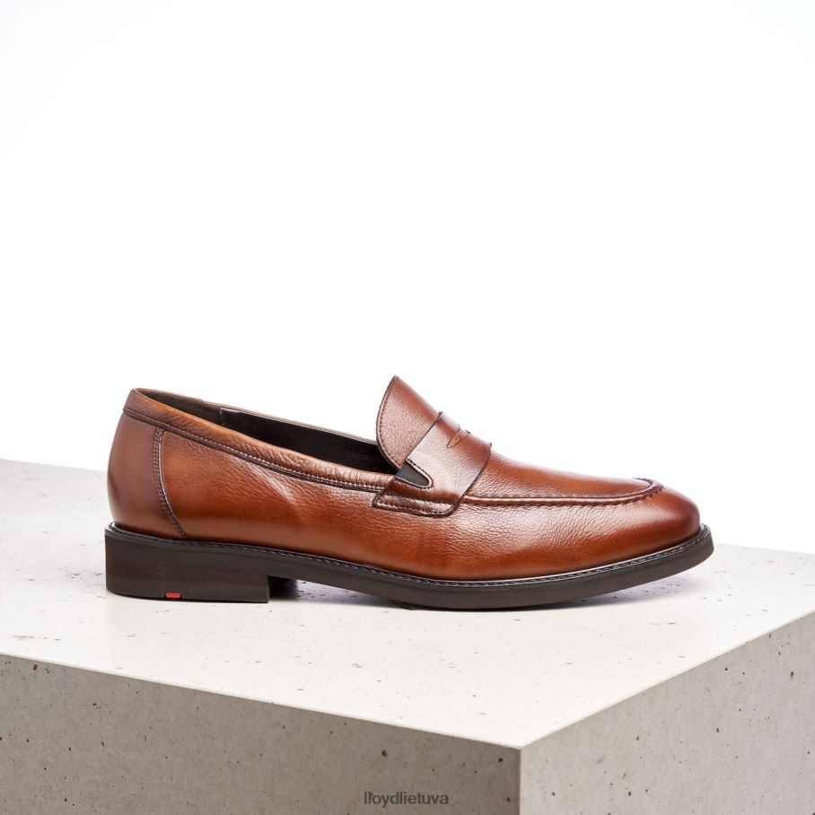 LLOYD reg vyrų avalynė rudas VF40PZ169