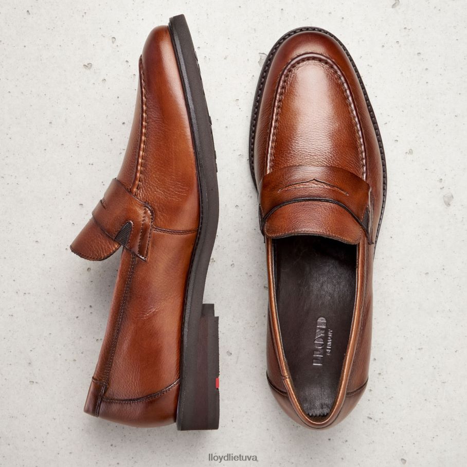 LLOYD reg vyrų avalynė rudas VF40PZ169