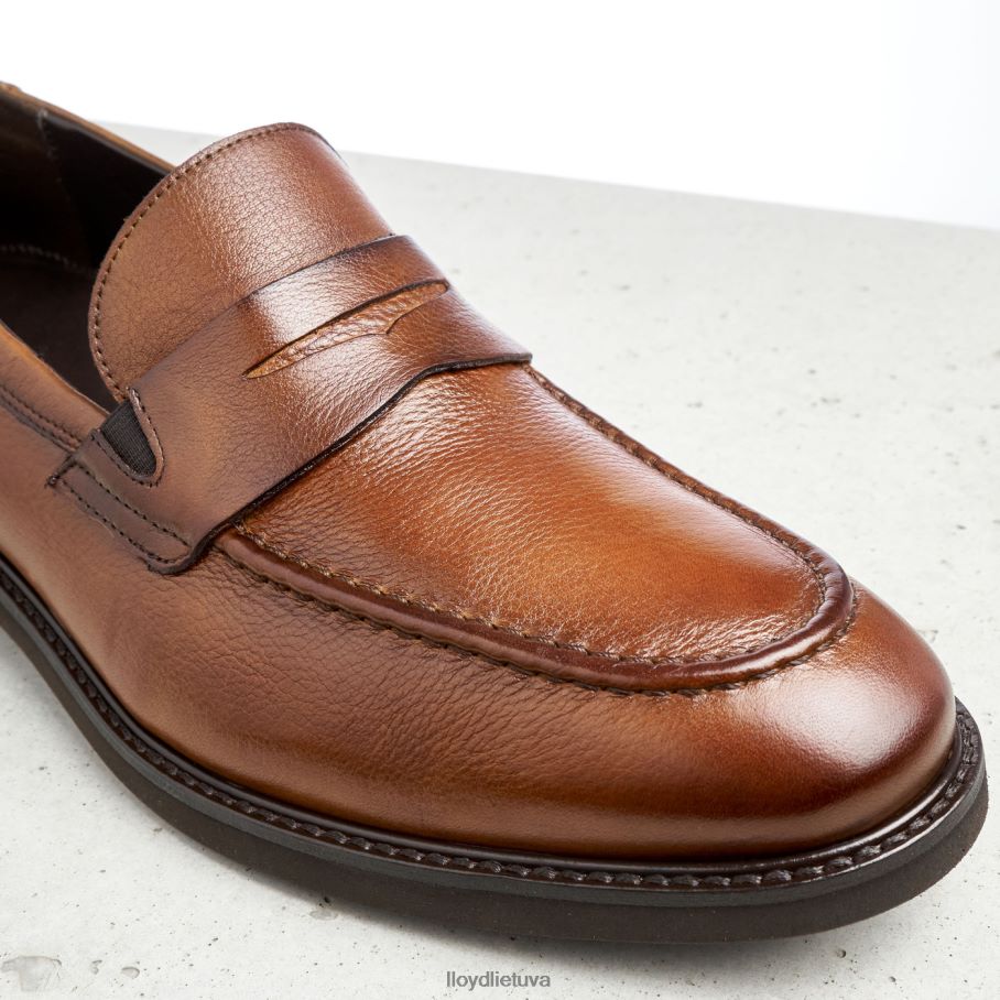 LLOYD reg vyrų avalynė rudas VF40PZ169