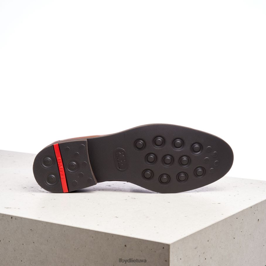 LLOYD reg vyrų avalynė rudas VF40PZ169