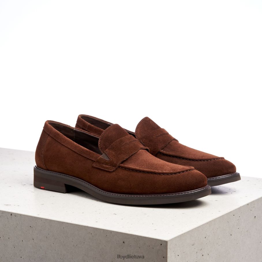 LLOYD reg vyrų avalynė rudas VF40PZ183