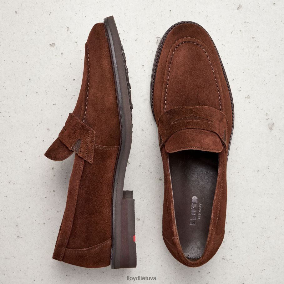 LLOYD reg vyrų avalynė rudas VF40PZ183