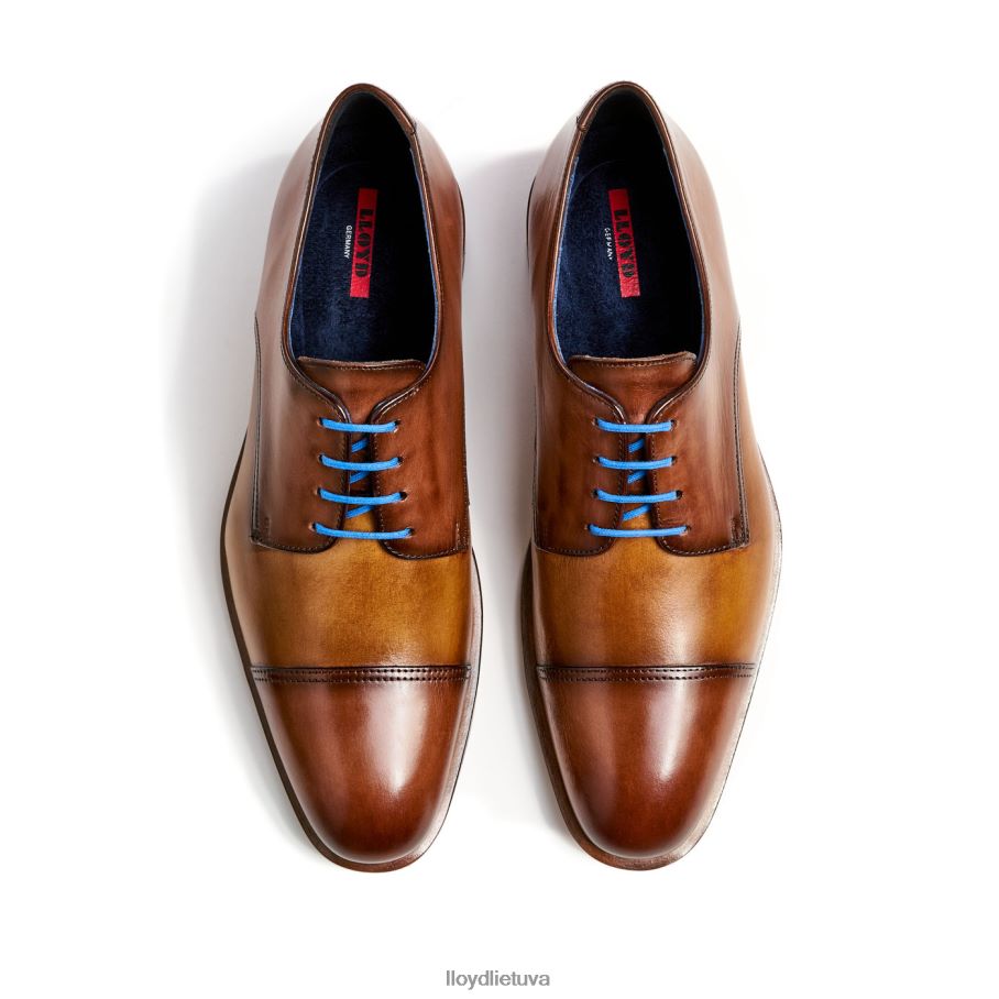 LLOYD rick vyrų avalynė rudas VF40PZ216