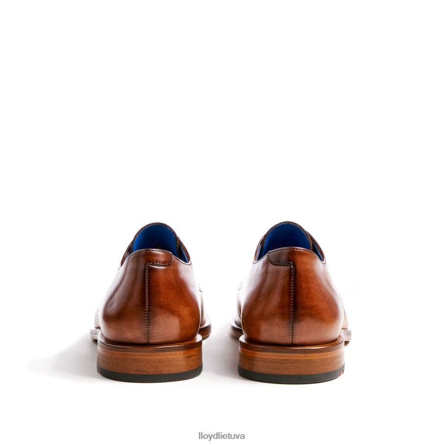 LLOYD rick vyrų avalynė rudas VF40PZ216