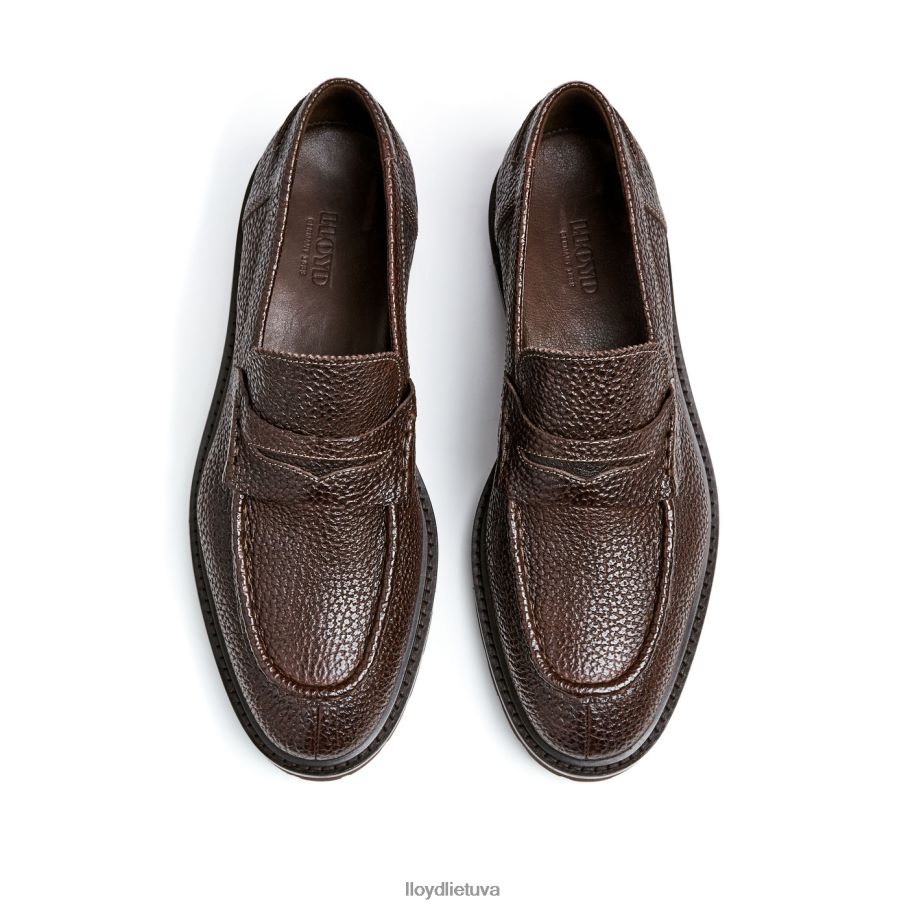 LLOYD ringo vyrų avalynė rudas VF40PZ72