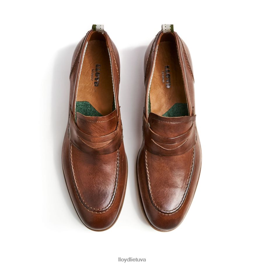 LLOYD ripan vyrų avalynė rudas VF40PZ1348