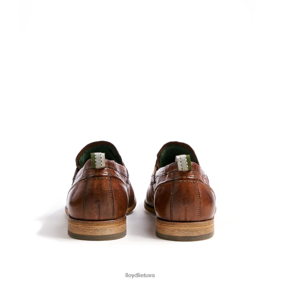 LLOYD ripan vyrų avalynė rudas VF40PZ1348