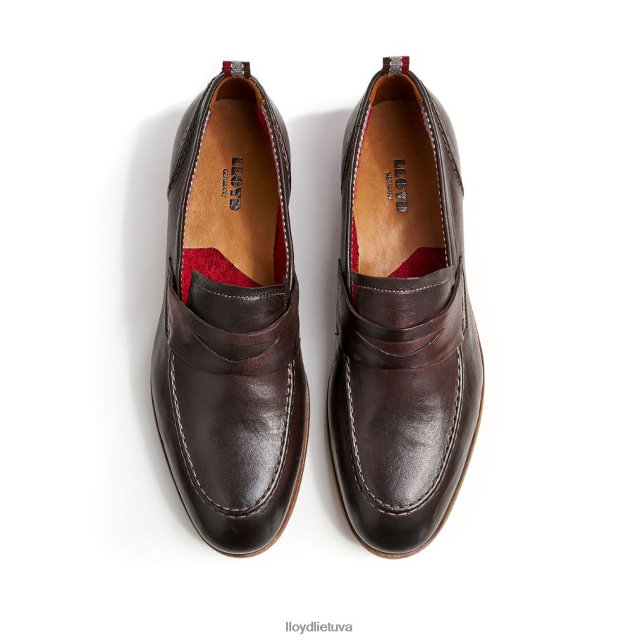 LLOYD ripan vyrų avalynė rudas VF40PZ612