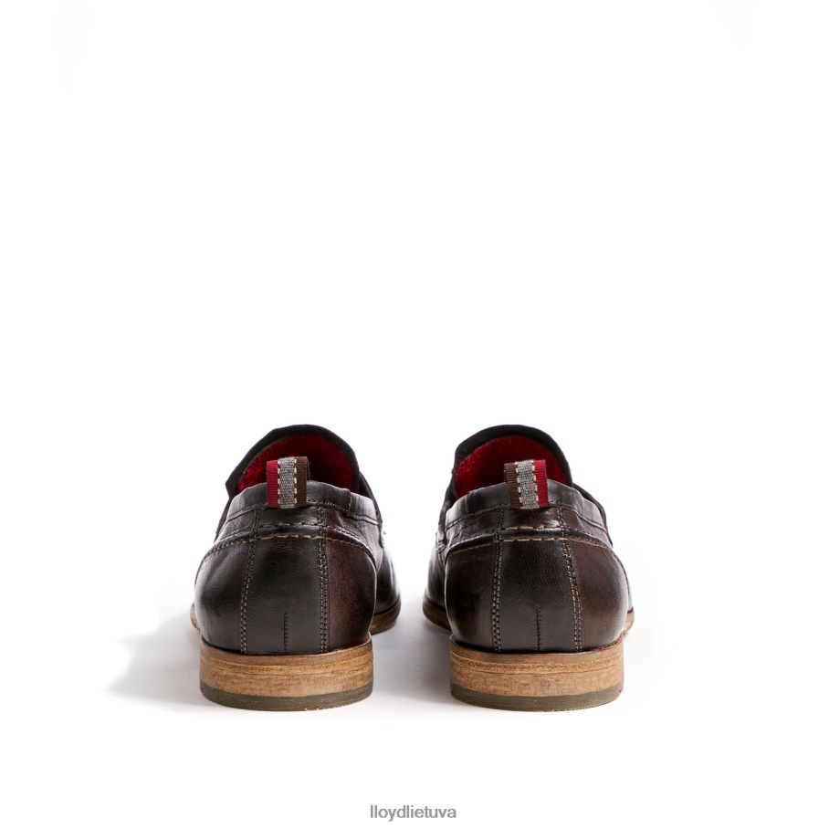 LLOYD ripan vyrų avalynė rudas VF40PZ612