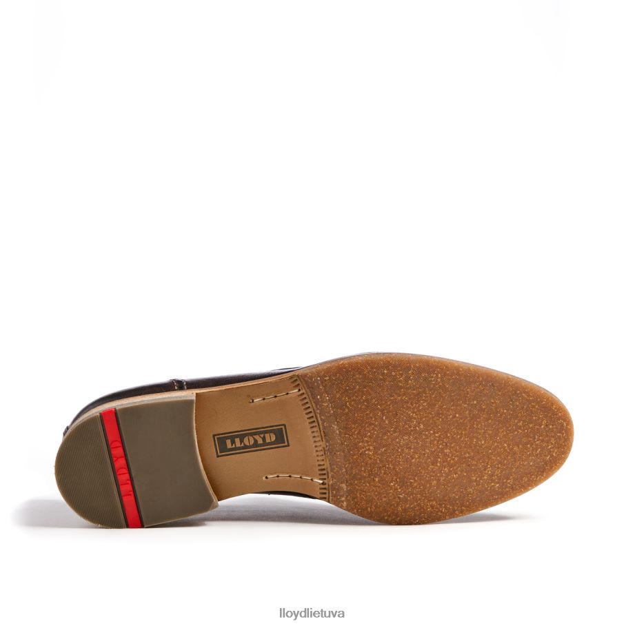 LLOYD ripan vyrų avalynė rudas VF40PZ612