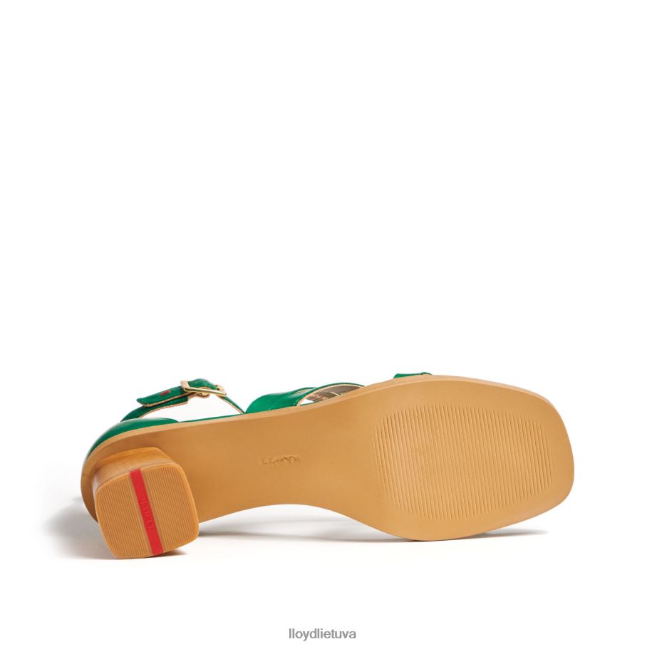 LLOYD sandalai moterys avalynė žalias VF40PZ1203