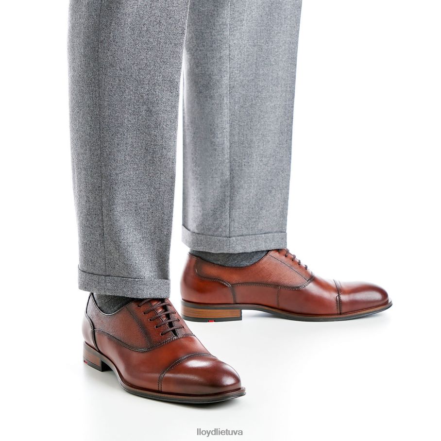 LLOYD santjagas vyrų avalynė rudas VF40PZ238