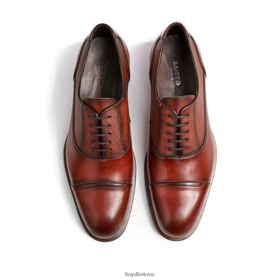 LLOYD santjagas vyrų avalynė rudas VF40PZ238