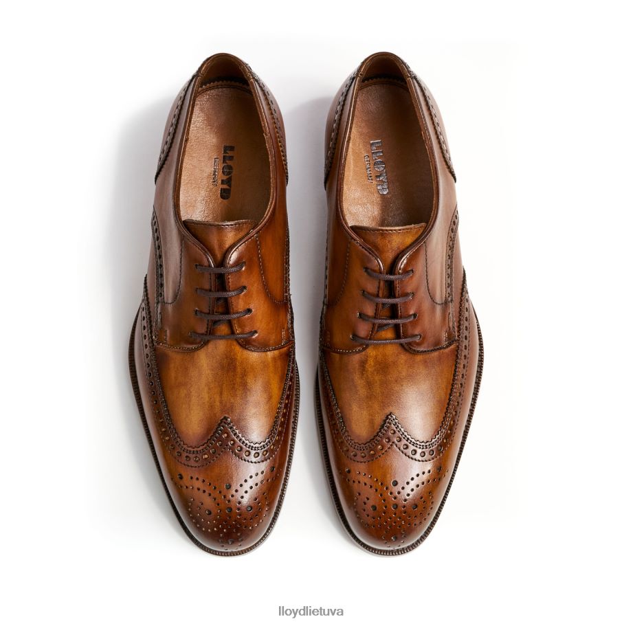 LLOYD sheridanas vyrų avalynė rudas VF40PZ205