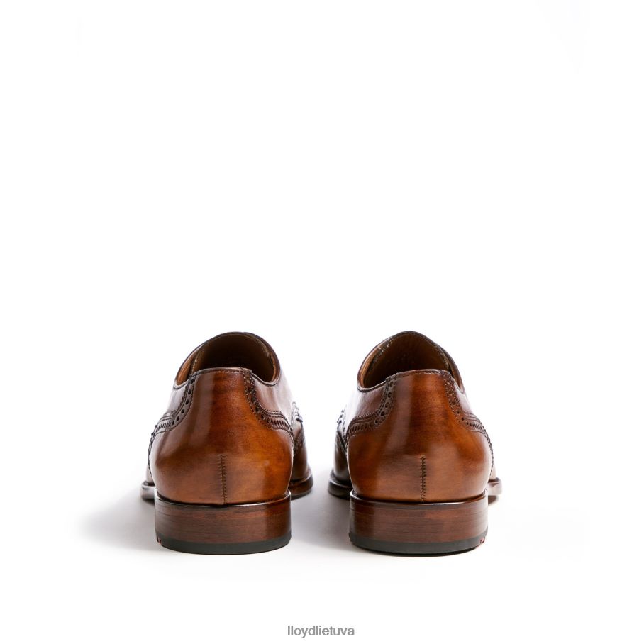 LLOYD sheridanas vyrų avalynė rudas VF40PZ205