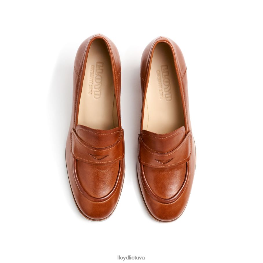 LLOYD siurblio šlepetė moterys avalynė rudas VF40PZ1020