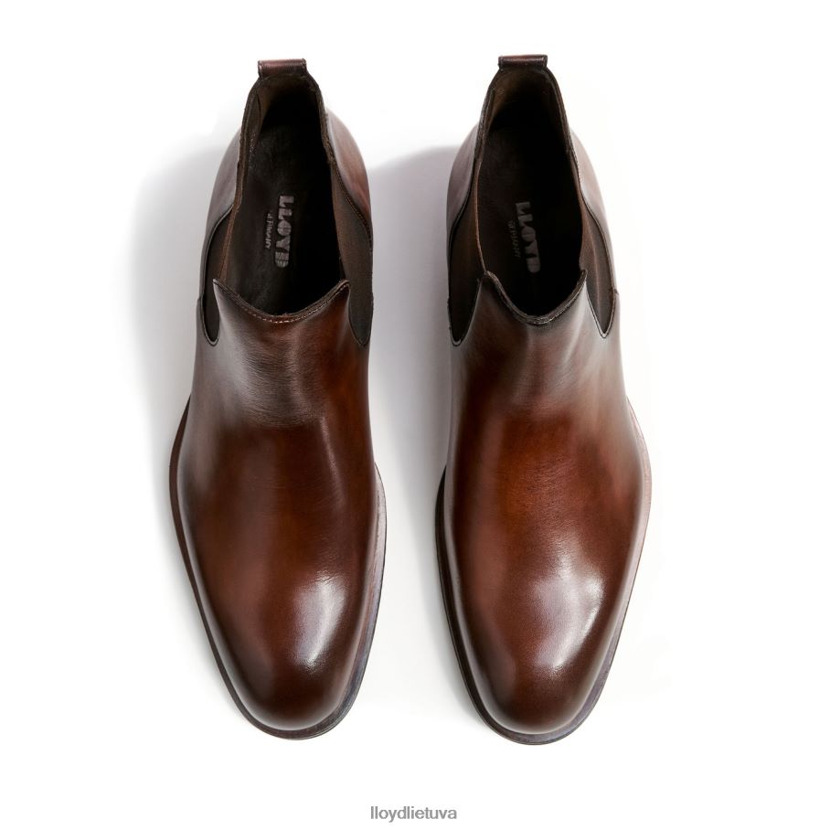 LLOYD skautas vyrų avalynė rudas VF40PZ239