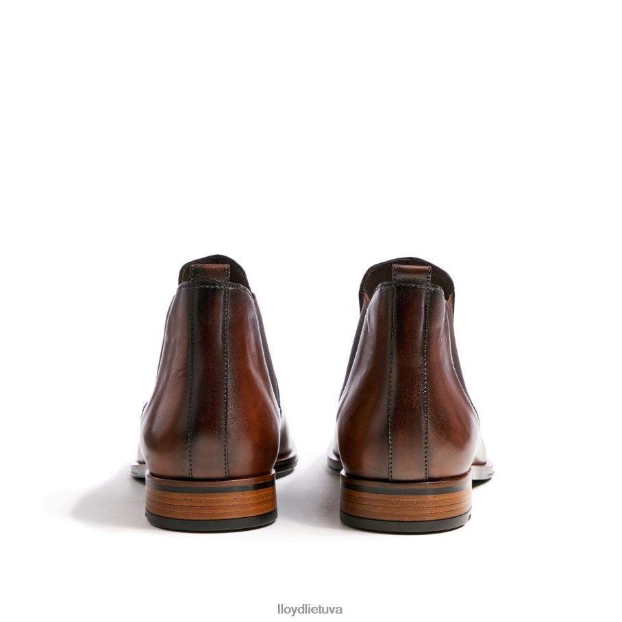 LLOYD skautas vyrų avalynė rudas VF40PZ239