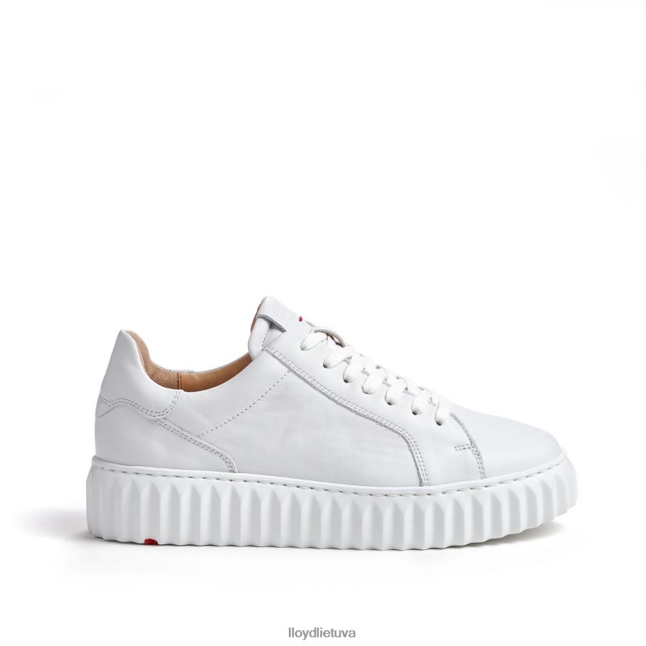 LLOYD sportbačiai su žemu viršumi moterys avalynė baltas VF40PZ761