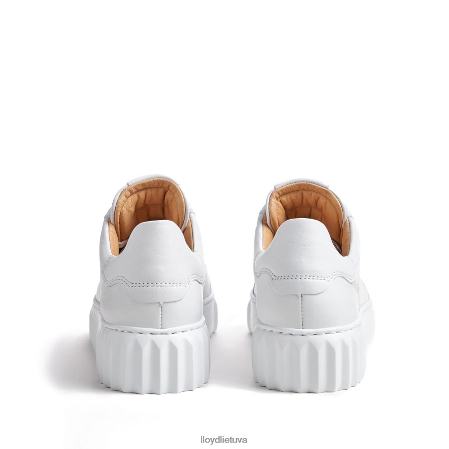 LLOYD sportbačiai su žemu viršumi moterys avalynė baltas VF40PZ761