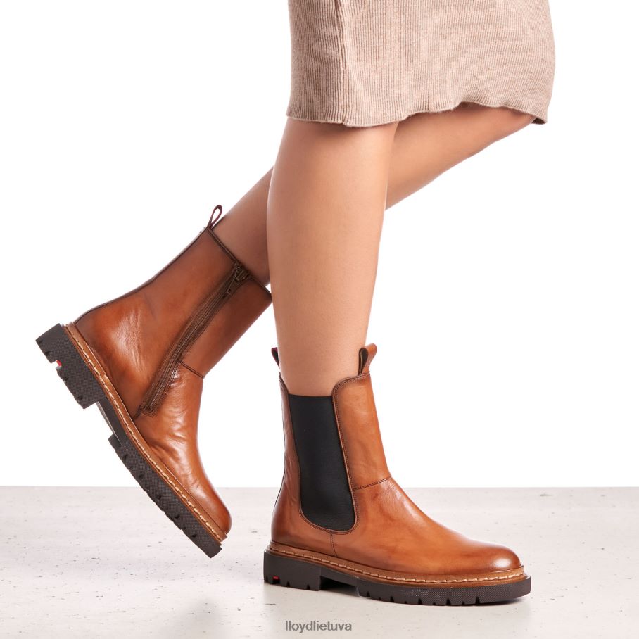 LLOYD stiefelette moterys avalynė rudas VF40PZ963