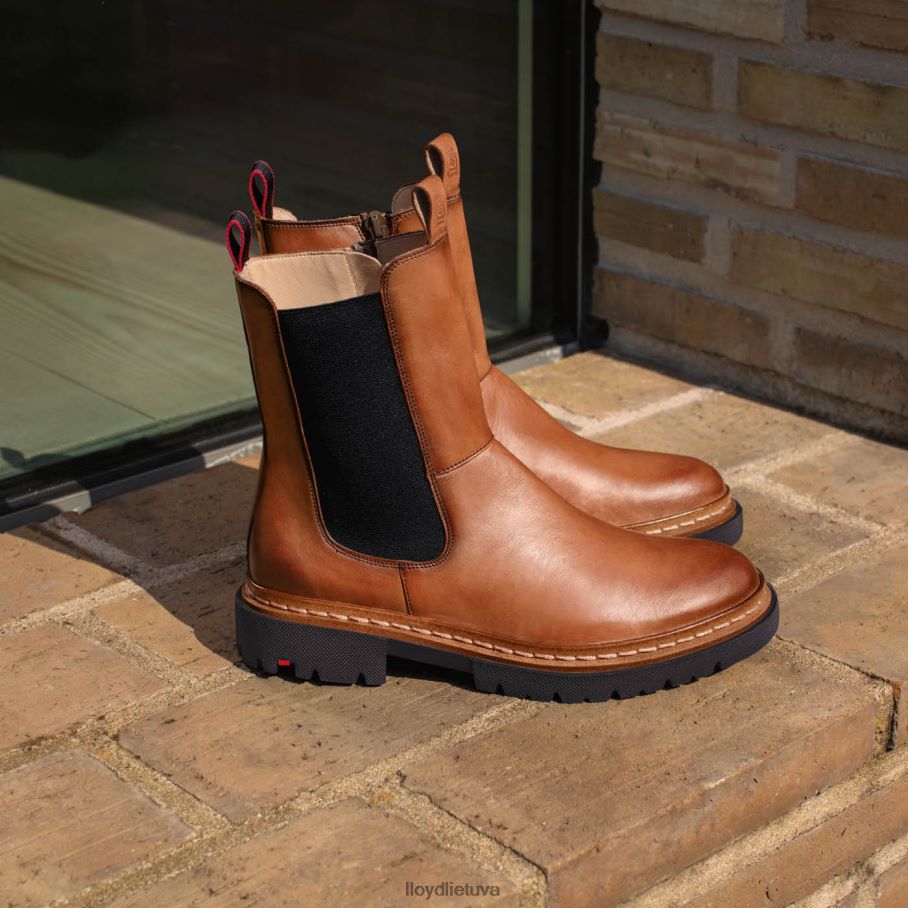 LLOYD stiefelette moterys avalynė rudas VF40PZ963