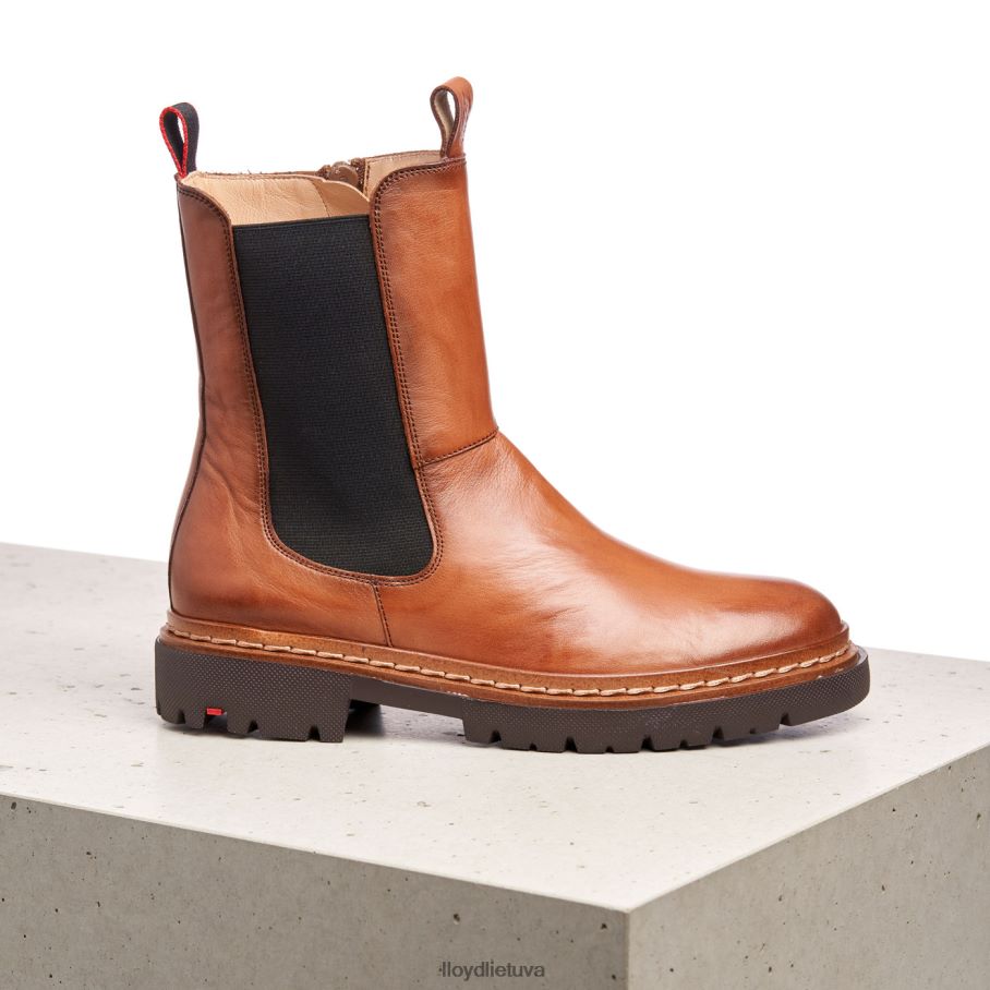 LLOYD stiefelette moterys avalynė rudas VF40PZ963