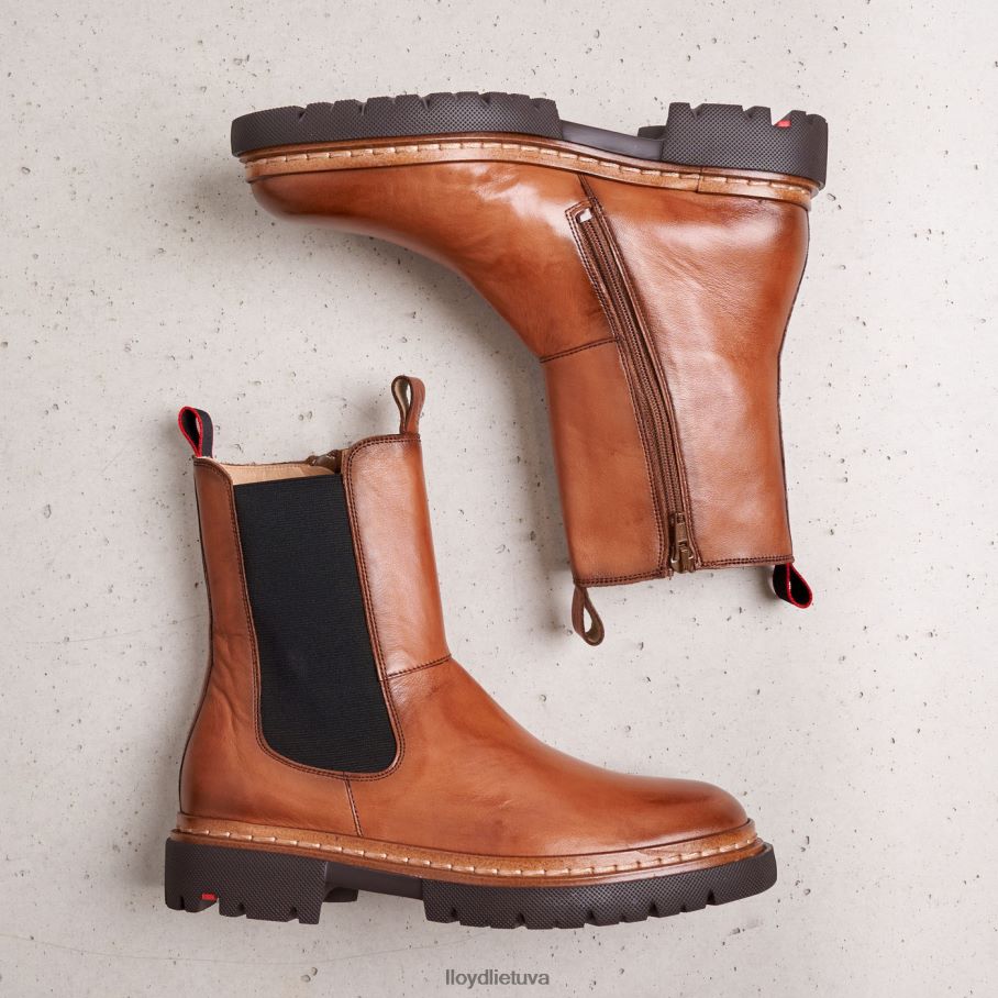 LLOYD stiefelette moterys avalynė rudas VF40PZ963