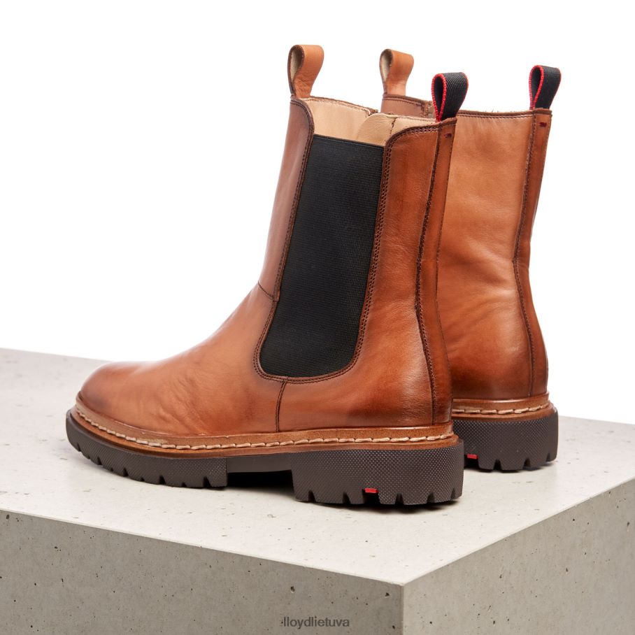 LLOYD stiefelette moterys avalynė rudas VF40PZ963