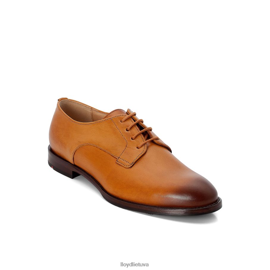 LLOYD suvarstyti pusbačius moterys avalynė rudas VF40PZ1090