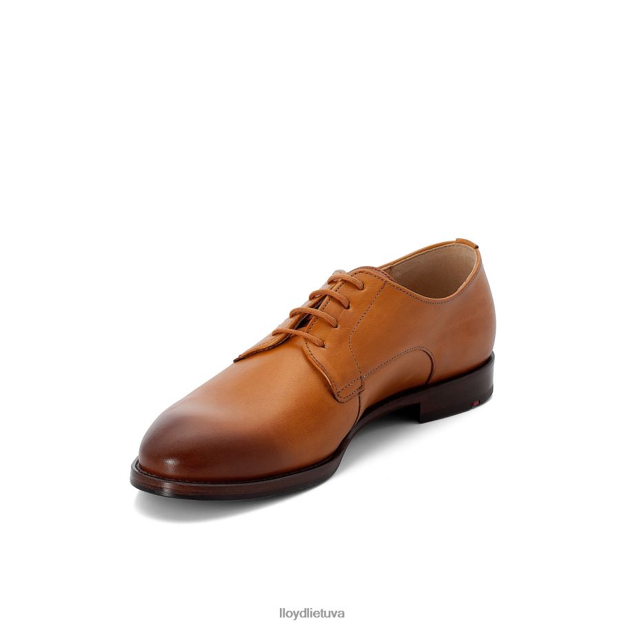 LLOYD suvarstyti pusbačius moterys avalynė rudas VF40PZ1090