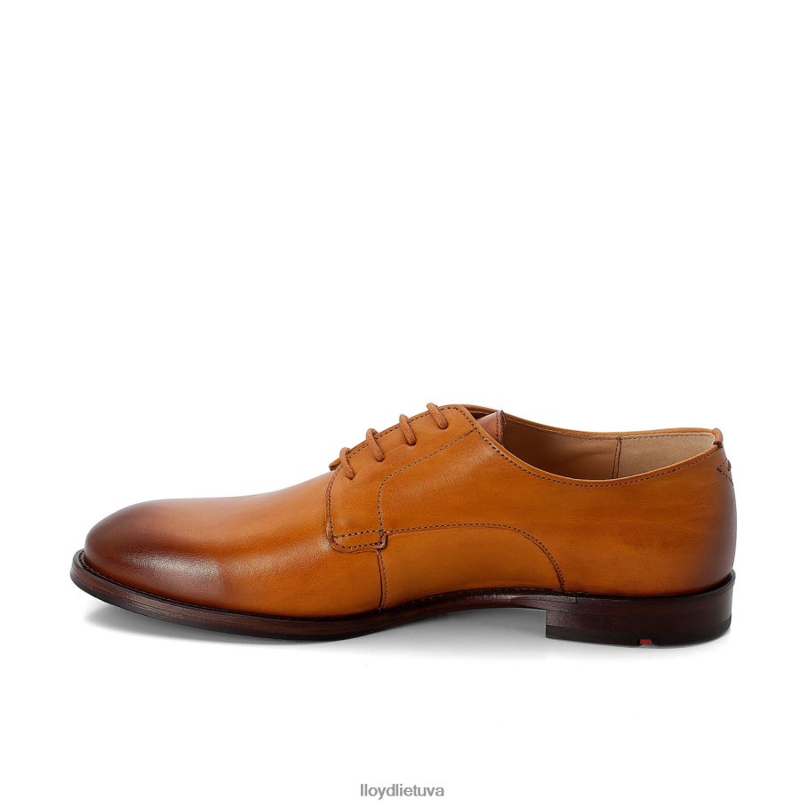 LLOYD suvarstyti pusbačius moterys avalynė rudas VF40PZ1090