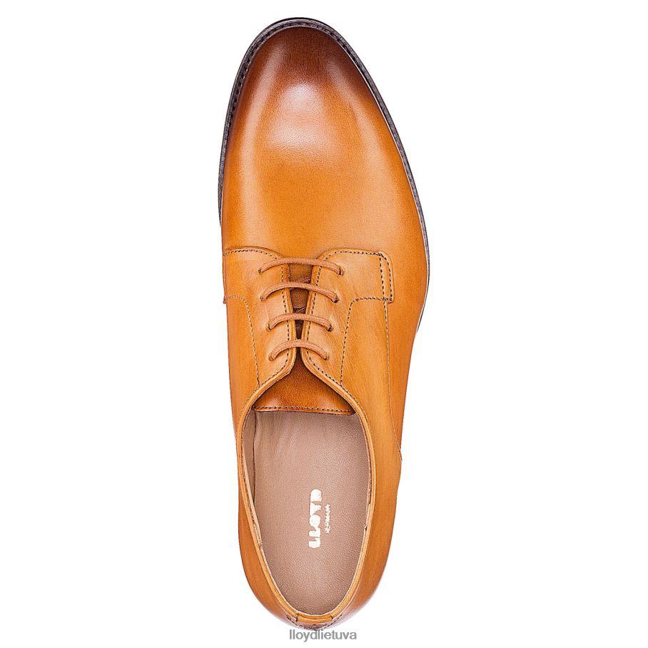 LLOYD suvarstyti pusbačius moterys avalynė rudas VF40PZ1090