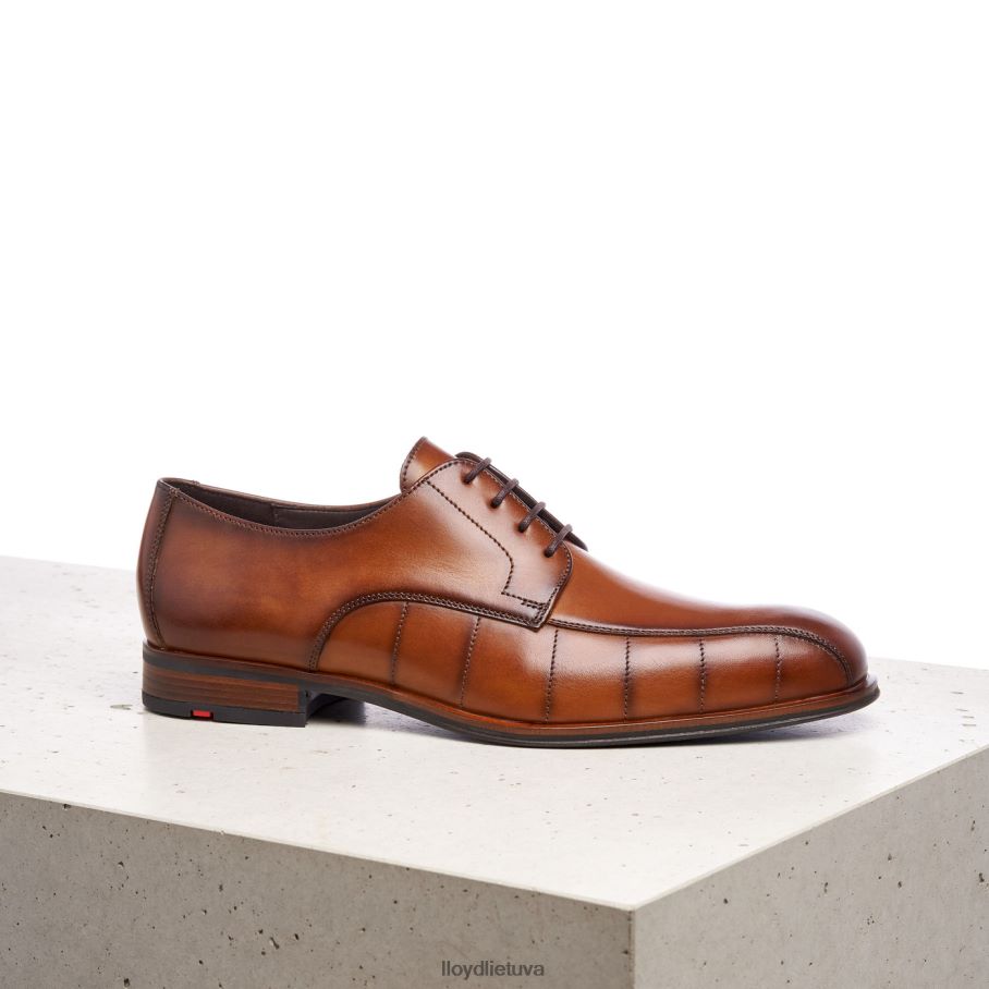 LLOYD sveikinimas vyrų avalynė rudas VF40PZ224