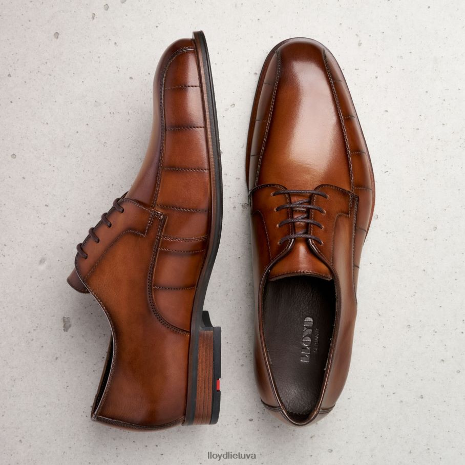 LLOYD sveikinimas vyrų avalynė rudas VF40PZ224