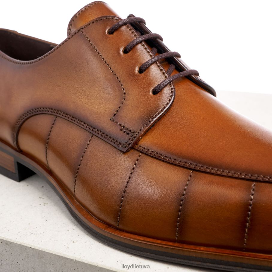 LLOYD sveikinimas vyrų avalynė rudas VF40PZ224