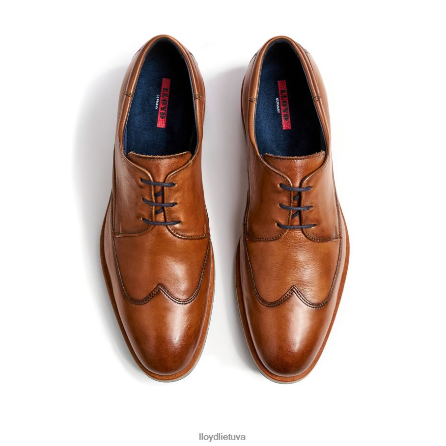 LLOYD tailoras vyrų avalynė rudas VF40PZ1325