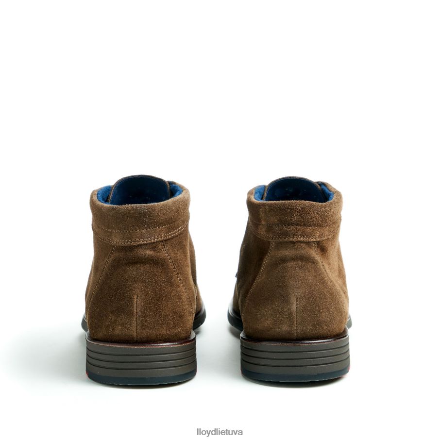 LLOYD tamaras vyrų avalynė rudas VF40PZ49