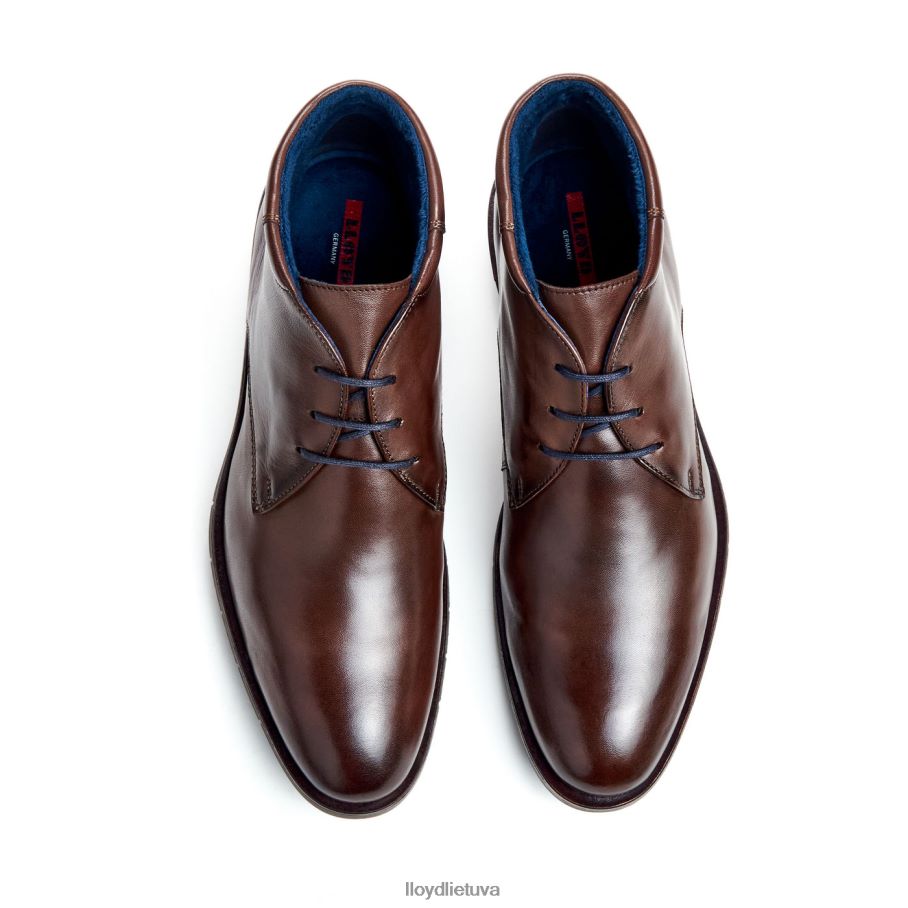 LLOYD tamaras vyrų avalynė rudas VF40PZ55