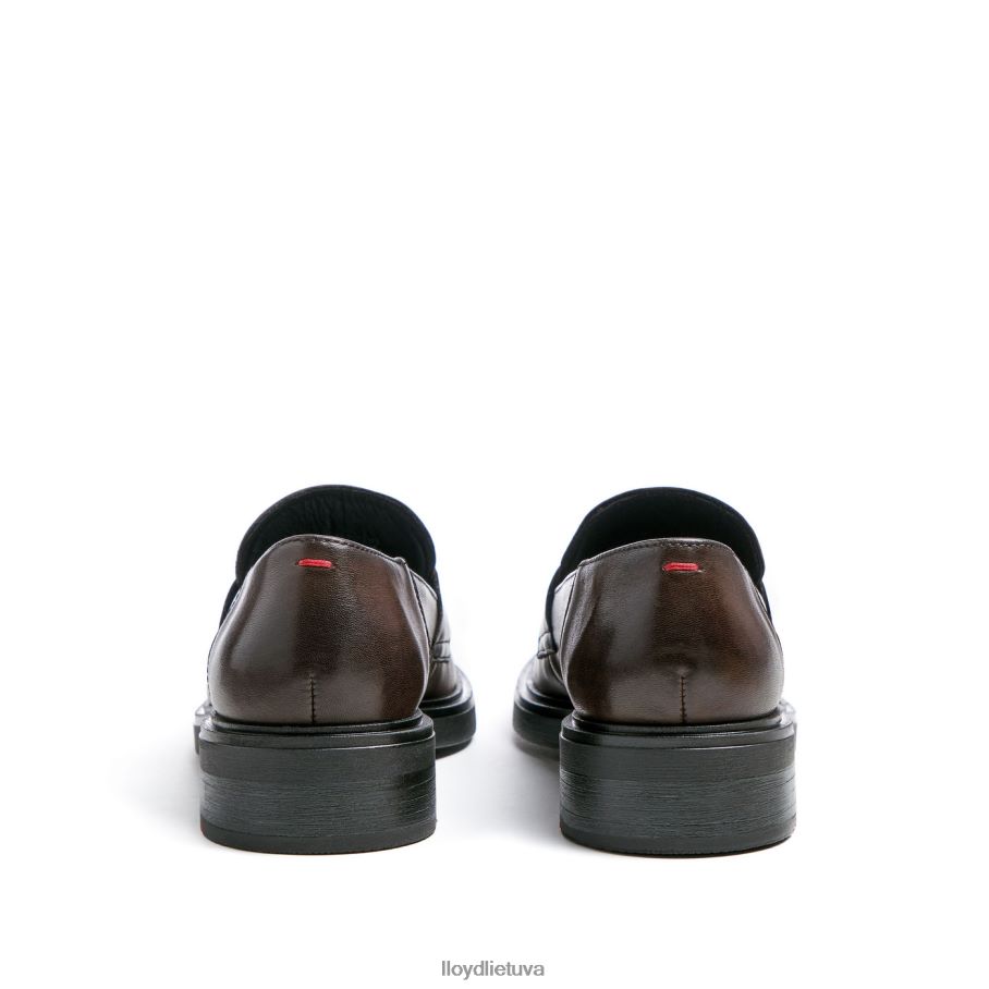 LLOYD užsimauti šlepetę moterys avalynė rudas VF40PZ1107