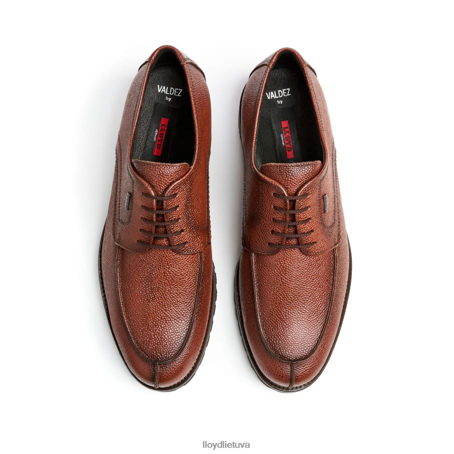 LLOYD valdez vyrų avalynė rudas VF40PZ161