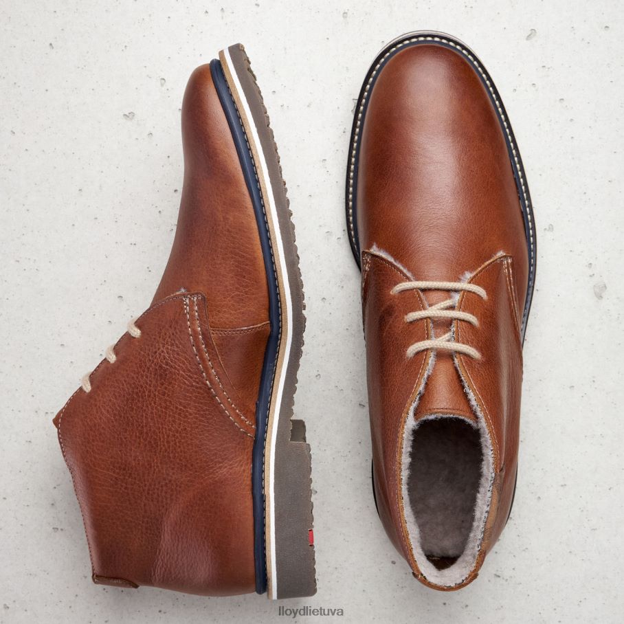 LLOYD valencija vyrų avalynė rudas VF40PZ507