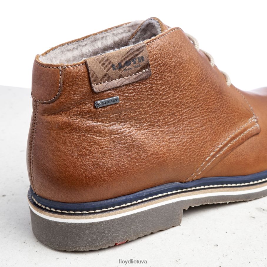 LLOYD valencija vyrų avalynė rudas VF40PZ507