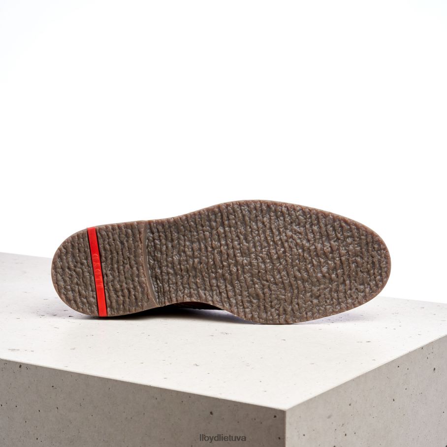 LLOYD valencija vyrų avalynė rudas VF40PZ507
