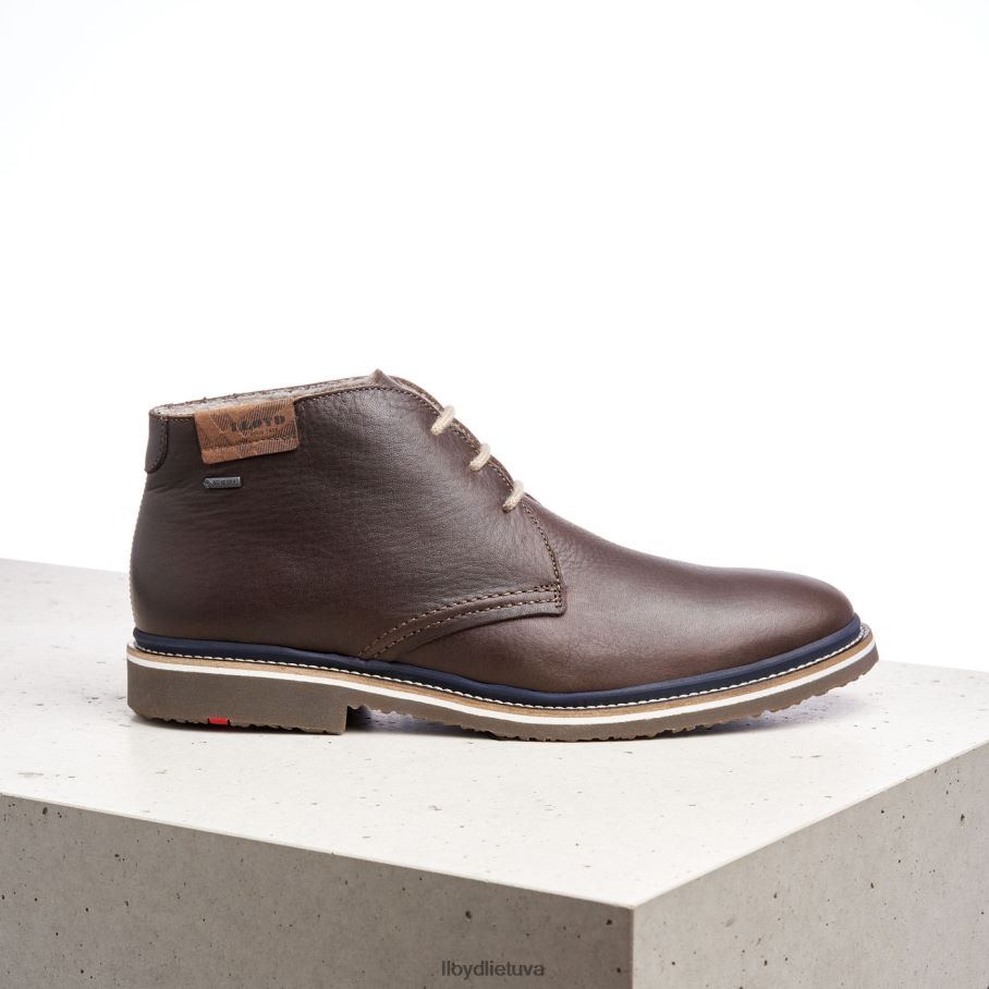 LLOYD valencija vyrų avalynė rudas VF40PZ508