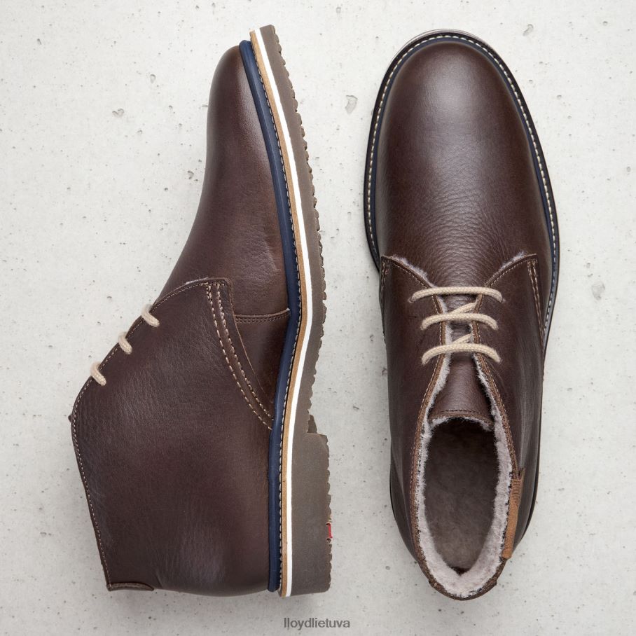 LLOYD valencija vyrų avalynė rudas VF40PZ508