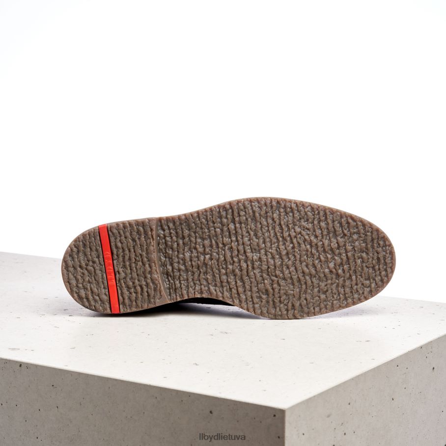 LLOYD valencija vyrų avalynė rudas VF40PZ508